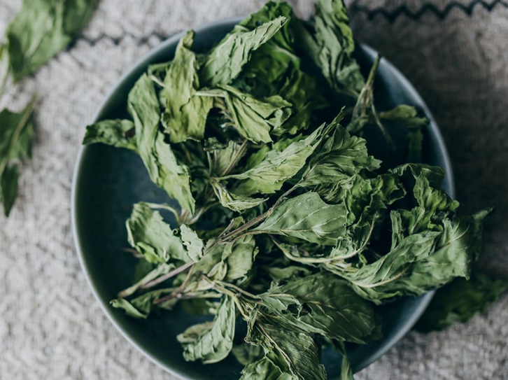 進口美國干薄荷葉清關流程