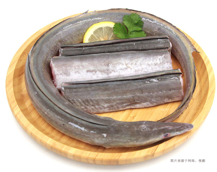 馬來(lái)西亞冷凍鰻魚(yú)進(jìn)口報(bào)關(guān)