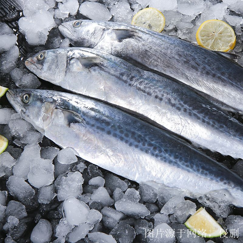 越南進(jìn)口冰鮮魚清關(guān)流程