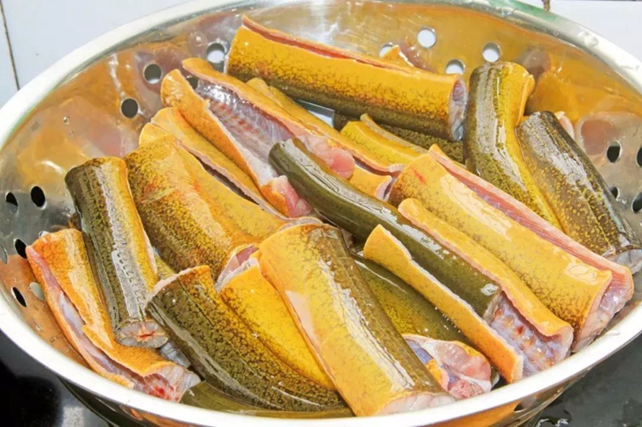 緬甸黃鱔進(jìn)口報(bào)關(guān)流程