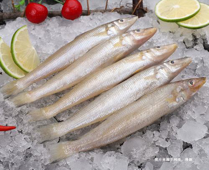 重慶冷凍食品進口報關指南_了解進口流程與要點