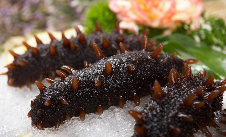 法國冰鮮海參進口報關公司