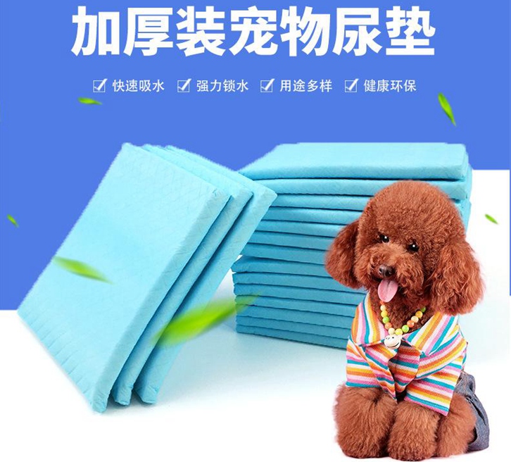 寵物用品報關(guān)公司