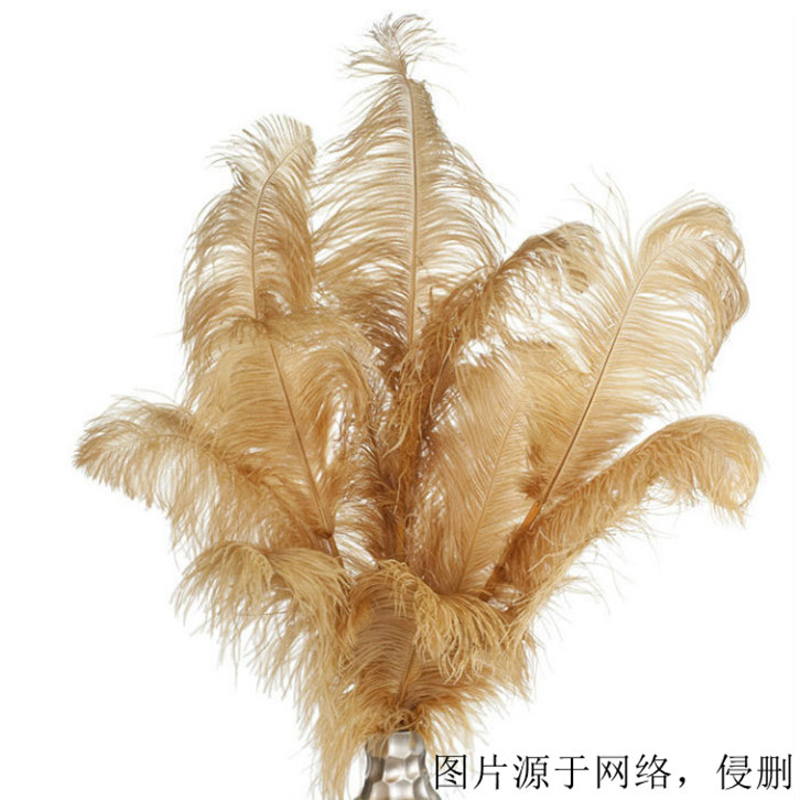 鴕鳥羽毛進(jìn)口報(bào)關(guān)資料