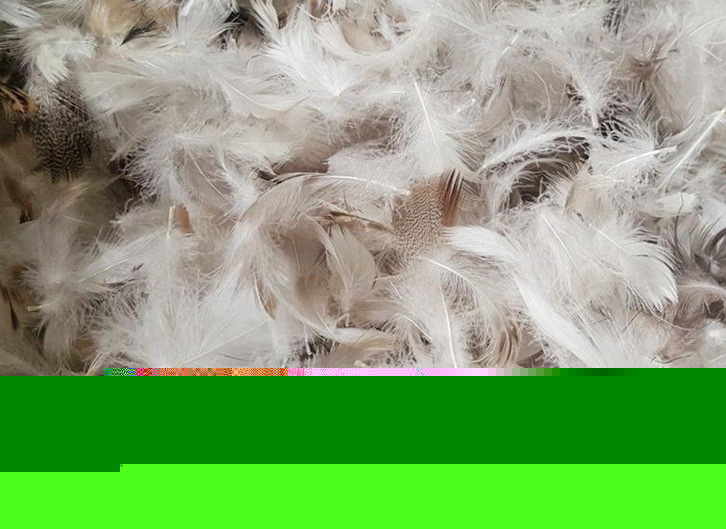 上海進口臺灣鴨毛報關(guān)流程