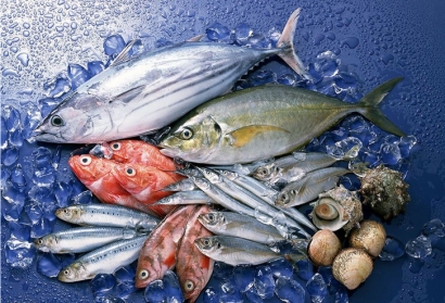 冷凍魚進(jìn)口報(bào)關(guān)貨代公司_全球進(jìn)口門到門服務(wù)