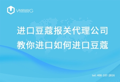 進口豆蔻報關代理公司教你進口豆蔻流程