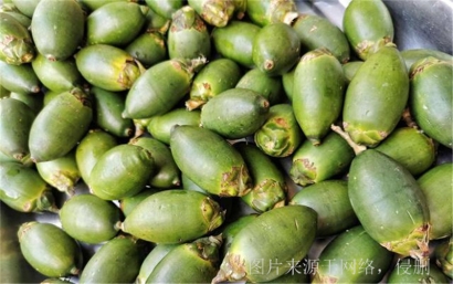 廣西防城港退運檳榔到越南以及緬甸怎么操作?