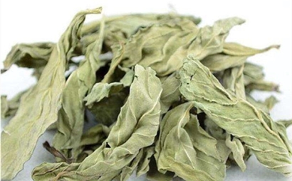 干薄荷葉進口報關的流程是怎樣的？