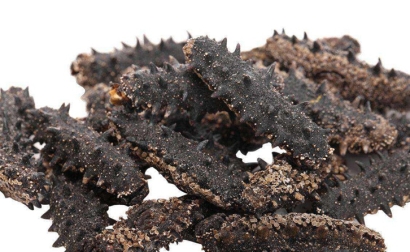 干海參進口報關手續(xù)_干海參進口的關稅