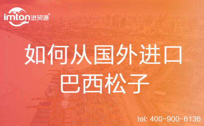 如何從國外進(jìn)口巴西松子