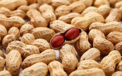 進(jìn)口大宗農(nóng)產(chǎn)品報(bào)關(guān)需要了解這些