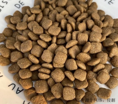 狗糧進口清關流程怎么操作？廣州狗糧進口報關資料