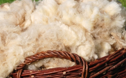 進口羊毛報關一般貿易進口流程是怎樣的？