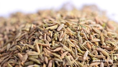 埃及枯茗子孜然進口報關資料-18年調味料報關行