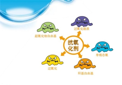 抗氧化劑進口報關流程手續(xù)經(jīng)驗豐富