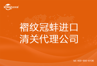 褶紋冠蚌進口清關代理公司