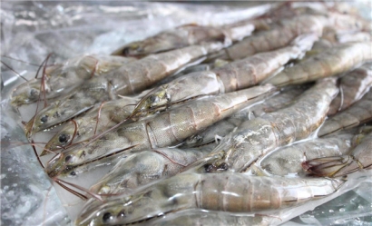 越南蝦進(jìn)口報(bào)關(guān)流程技巧講解，get到了嗎