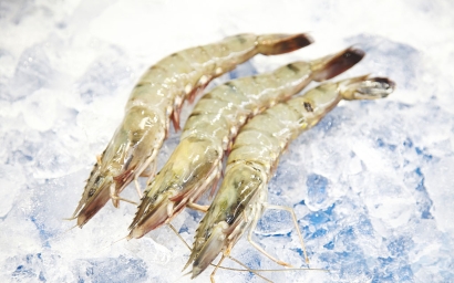 冷凍蝦進口清關(guān)代理