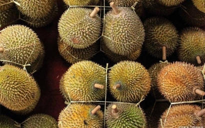 進口泰國榴蓮報關(guān)提前準(zhǔn)備好這些資料，一點都不難