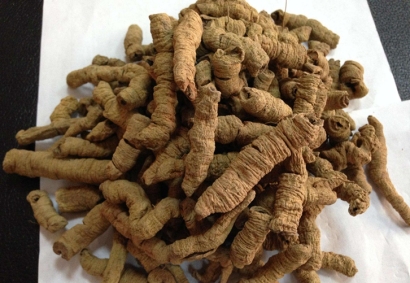 進(jìn)口藥材巴戟天報(bào)關(guān)_阿爾巴尼亞準(zhǔn)入藥材有哪些