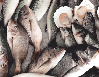 大連進(jìn)口海鮮清關(guān)代理之前，務(wù)必要確定好這幾點(diǎn)