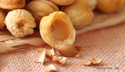 青島專業食品進口報關清關