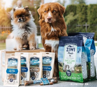 新西蘭寵物食品進(jìn)口報關(guān)資質(zhì)到上海雙清海運門到門