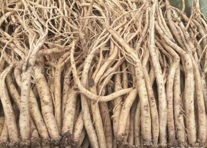 馬來西亞藥材進口報關(guān)的流程手續(xù)很復(fù)雜么