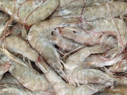 冷凍水產(chǎn)品進(jìn)口清關(guān)資料簡介_進(jìn)口水產(chǎn)品標(biāo)簽問題