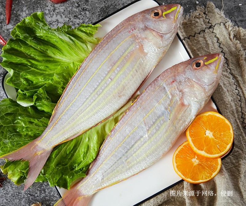 上海進(jìn)口越南金線魚(yú)報(bào)關(guān)流程 上海進(jìn)口越南金線魚(yú)報(bào)關(guān)流程