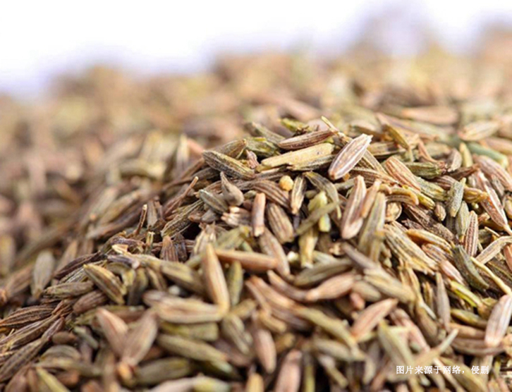 德國枯茗子進(jìn)口清關(guān)資料 德國枯茗子進(jìn)口清關(guān)資料