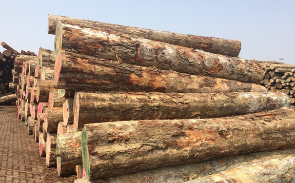 原木進口清關上海代理公司g