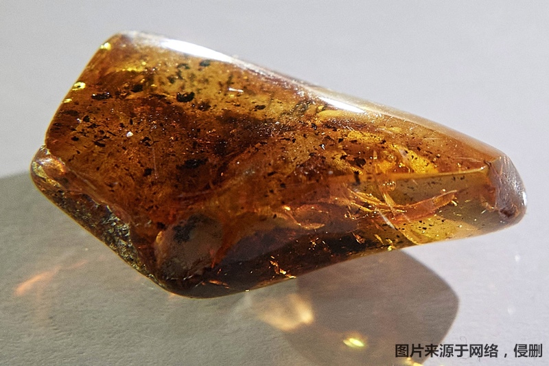 1682589476688981.jpg 琥珀進(jìn)口報(bào)關(guān)流程.jpg