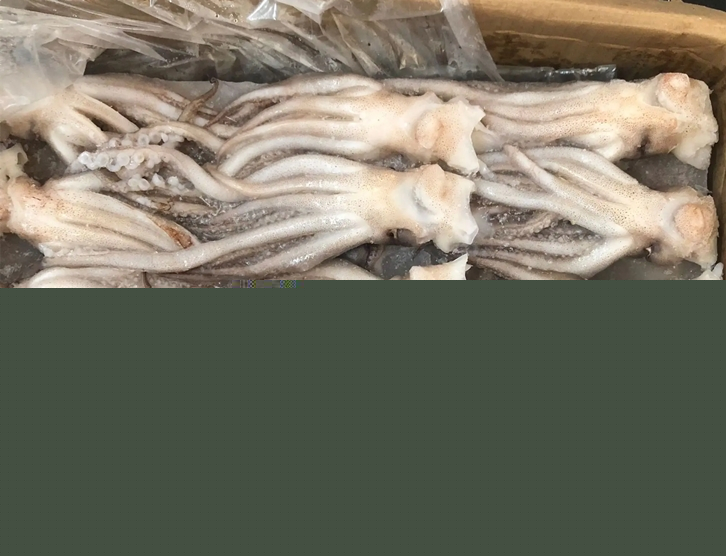 1651143653237839.jpg 冷凍魷魚進(jìn)口報(bào)關(guān)_副本.jpg