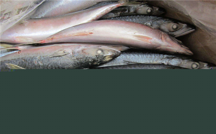 俄羅斯水產(chǎn)品進口報關(guān)